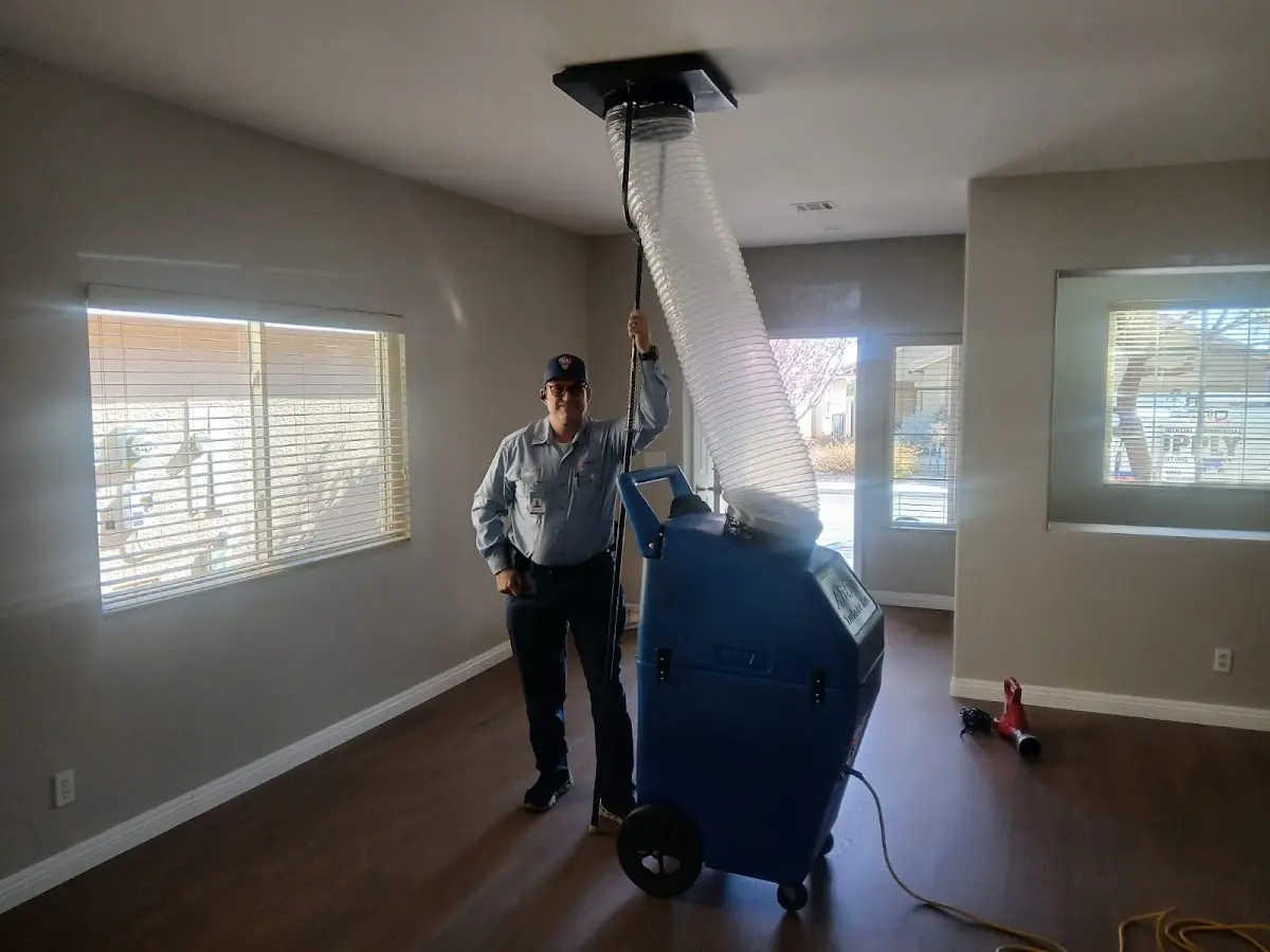 Professional Dryer Vent Cleaning work inside a Elma home
